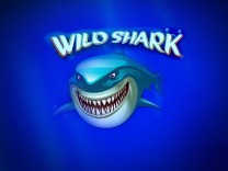 Wildshark